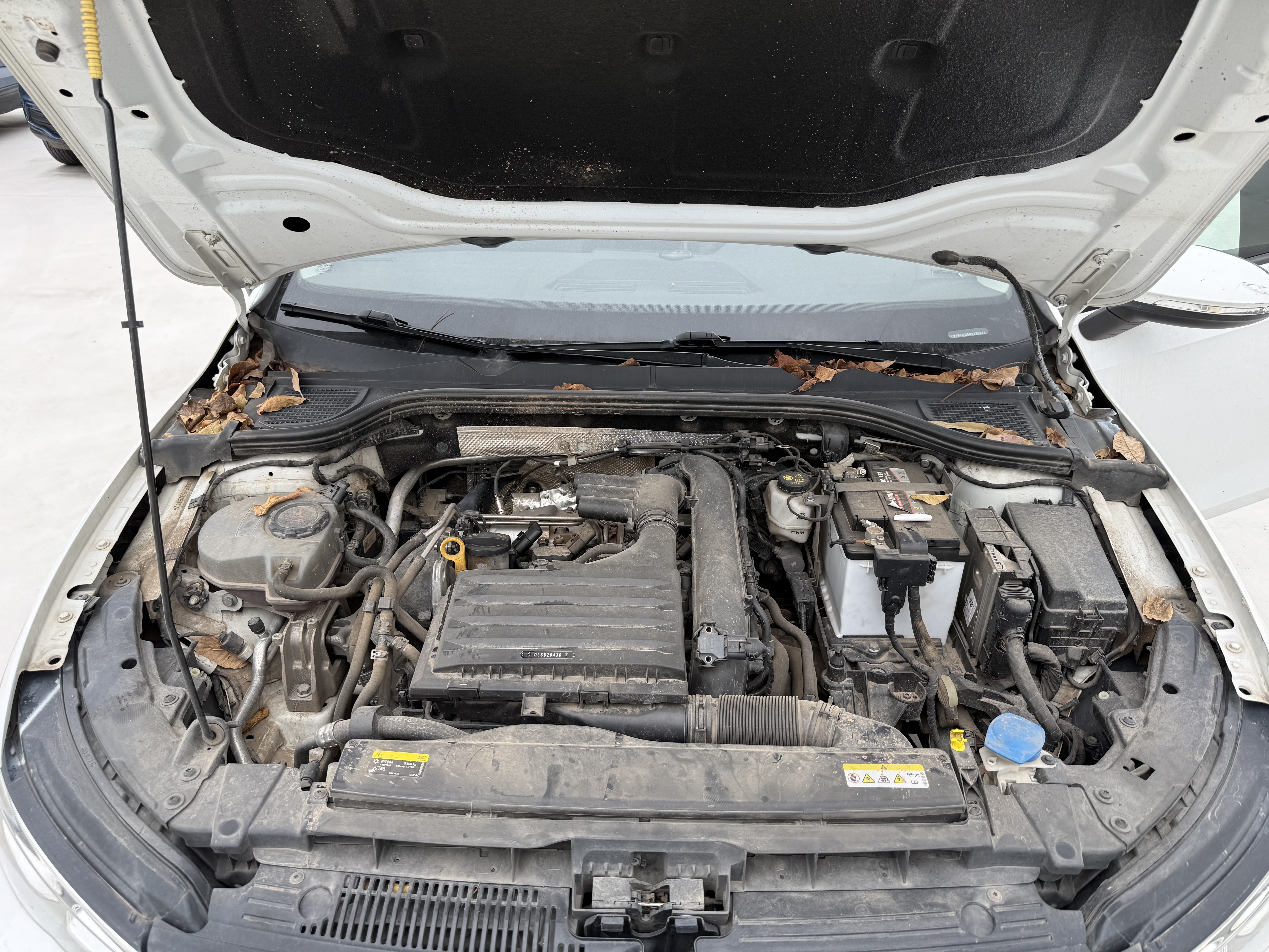 2023 Volkswagen Golf